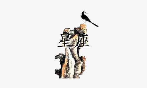 从占星学的视角深入剖析星座的十二宫位排列 对十二星座宫位的全面解读