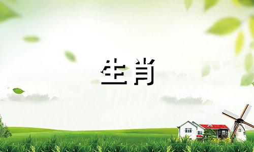 探索适合属龙之人的玉石饰品：1976年出生的属龙女士，何种玉石吊坠能成为您的守护神？选择