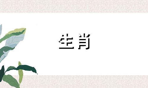 全面解析:12生肖婚配指南,特别关注猪狗组合