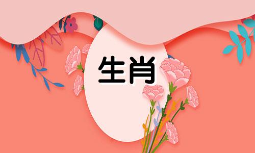 制作关于十二生肖中龙的简短故事绘本。