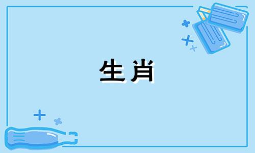 十二生肖中，鼠的最佳配对生肖是什么？ 男女最佳生肖配对指南