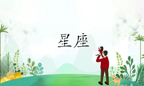 探索星座揭示的性格特征：通过星座了解你的性格