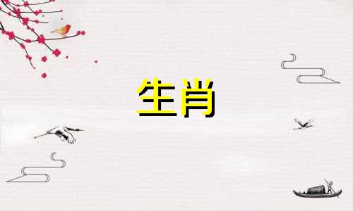 属虎人的婚配指南:全面解析与各生肖的匹配度