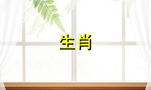 属鼠人的婚配指南:全面解析与各属相的匹配度