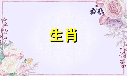 十二生肖中,猪与哪些属相的婚姻搭配最为理想?