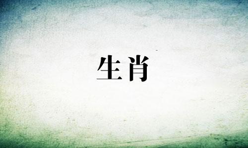 如何正确发音十二生肖属相表的拼音 十二生肖的拼音应该如何拼读