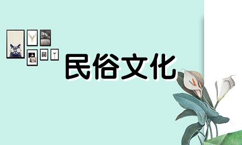 下载丁卯八字算命详细解析视频 包含八字讲解