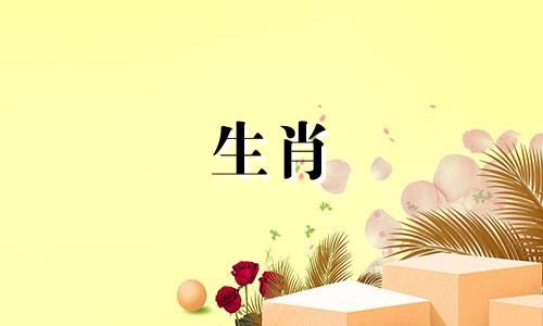 十二生肖的排列顺序是按照中国传统农历来排列的，具体顺序如下：1. 鼠 子2. 牛 丑3. 虎 寅4. 兔 卯5. 龙 辰6. 蛇 巳7. 马 午8. 羊 未9. 猴 申10. 鸡 酉11. 狗 戌12