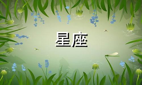 十二星座男性情感运势深度解析