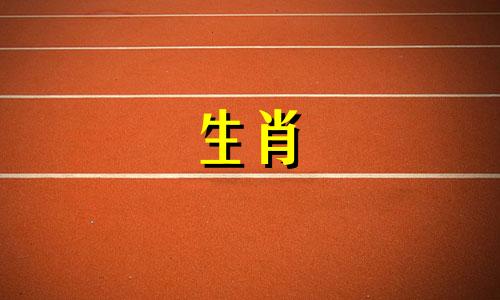 2023年属相大全与年龄对照表 属鼠人士在2023年的年龄