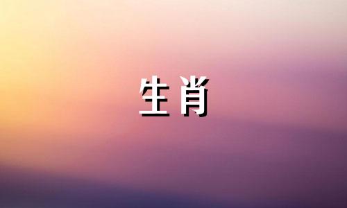 查询客厅的五行风水布局