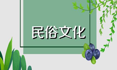 探索风水与财富的哲学：完整知识讲座视频系列