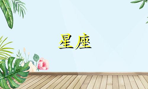 请帮我查询一下我的星座信息。