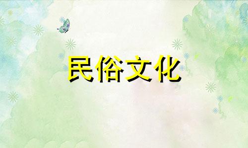 白王兰花泡酒的风水知识