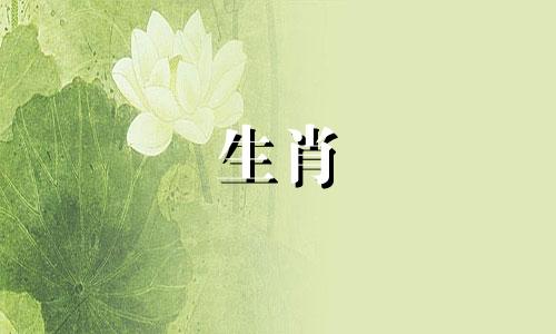 星座性格与属相的最佳婚配指南:12星座的完美伴侣匹配表