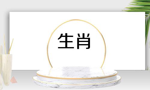 属狗的男性与属猪的女性在婚配上是否理想？