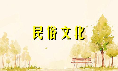 织田信长的生辰八字与布依族婚礼习俗的探讨在探索织田信长的生辰八字与布依族