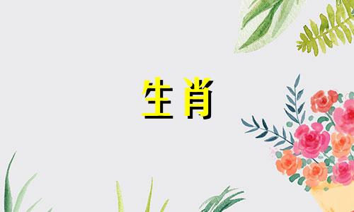 属蛇男性的最佳配偶生肖表