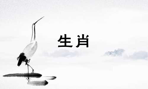 属马女性最理想的配偶属相是什么？