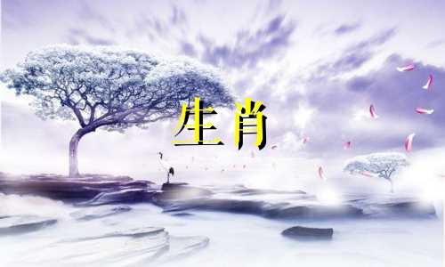 关于如何查询属相以及社保异地转移流程的简要说明