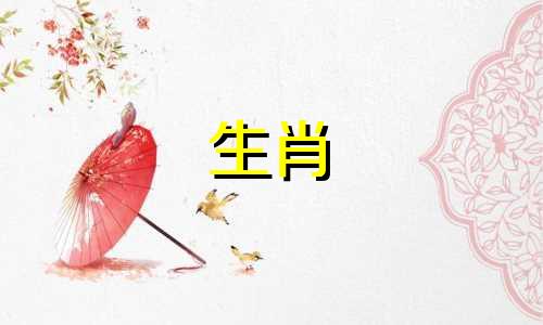 男属兔金牛座的最佳配偶属相是什么?