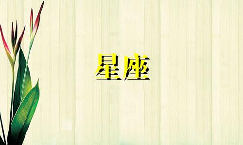 双击查询十二星座今日运势