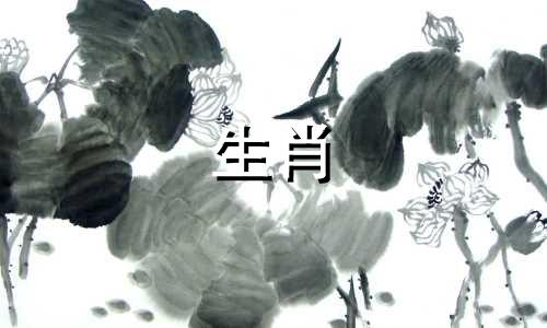 属马男性的最佳配偶属相排名 属马人最匹配的属相是什么