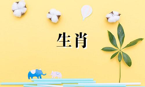 2022年老黄历属相查询图表,包括属相与年龄对照表。