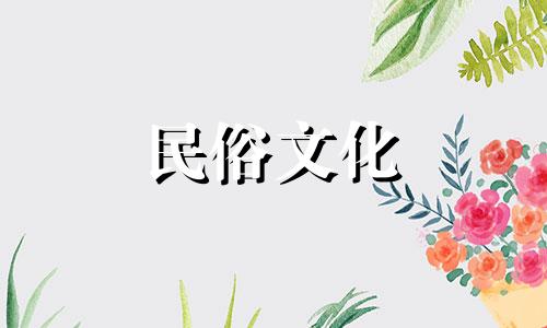 如何烹制风水知识鸡汤 鸡汤的制作方法