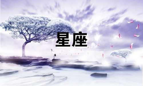 请帮我查询一下星座的含义是什么。