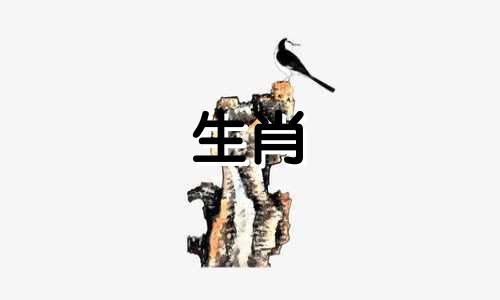 关于十二生肖中的虎与猫的故事插图 揭示老虎在遭遇猫时为何会陷入束手无策的境地