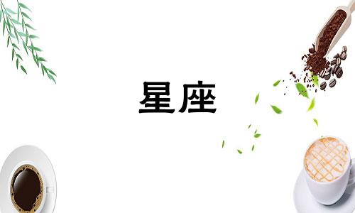 十二星座爱情分析图集 揭示各星座的恋爱风格，精准的星座情感解读