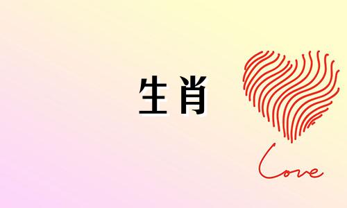 牛年出生的人最适合的生肖配偶