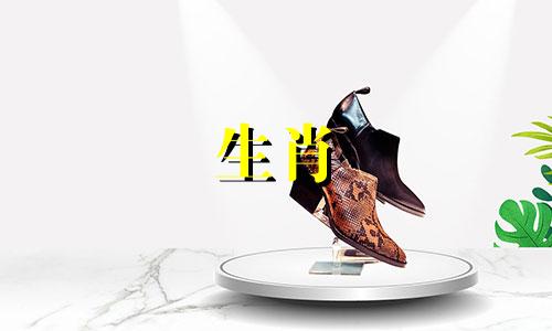 1987年出生的属兔人婚配指南:不宜与哪些生肖结合,以及36岁前的经济运势解析