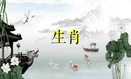 属牛男士的最优婚配生肖指南：揭示与哪些生肖结合最为和谐