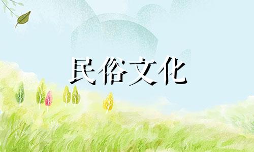 关于坟地风水，坟墓上长出刺槐树预示着什么？