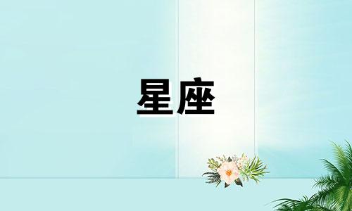 职场星座交际能力解析：揭秘办公室中交际高手的星座