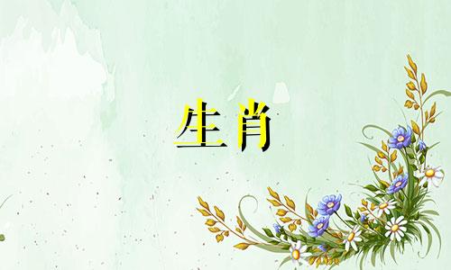 探索星座奥秘,发现完美匹配!