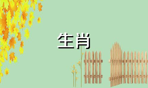 属狗与属猴的婚配兼容性分析 探讨属狗者与属猴者的配对和谐度