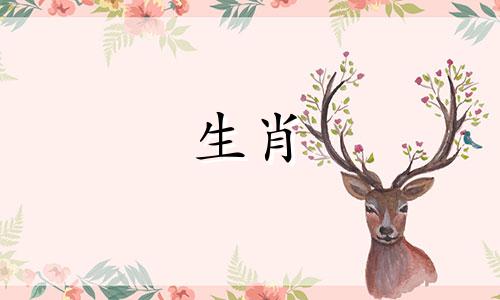 属虎男性的最佳婚配属相图解