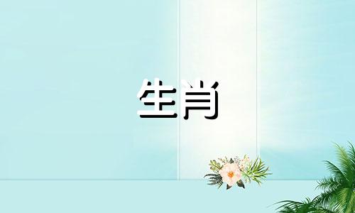 属猴的人与哪些生肖相冲？