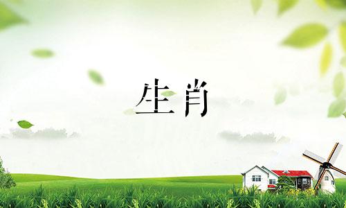 生肖属牛的人最适合与哪个生肖配对？