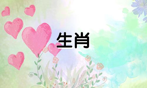 十二生肖男女年龄对照表图片 包含属相与年龄信息