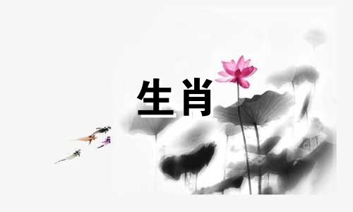 属虎女性的最佳婚姻配对指南：全面解析生肖搭配