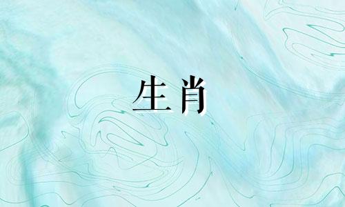 属兔男性的十大最佳配偶属相