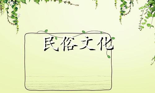 积木花风水入门知识：家中摆放仿真花是否合适？