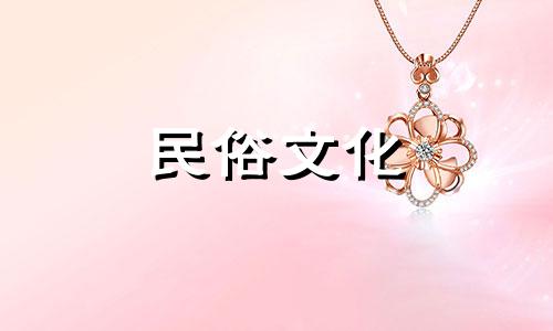 请风水专家依据户型图提供新房布局建议,感谢指导!