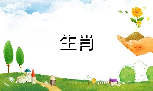 12生肖属相婚姻配对大全表