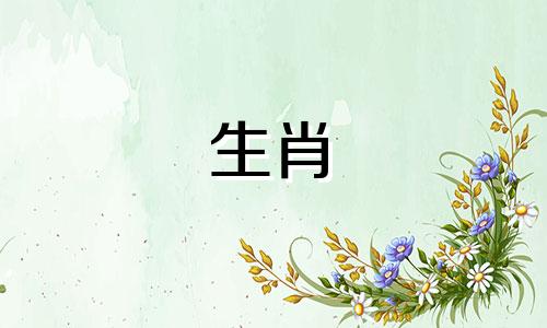 99年属兔女性的最佳配偶属相婚配指南