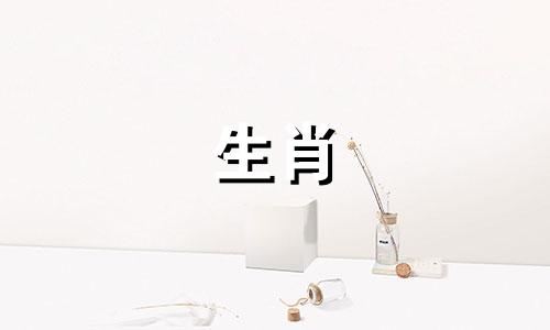 《十二生肖守护神》第二集 一部描绘十二生肖传说的动画片,曾在少儿频道播出,不过我已经记不起其名称了